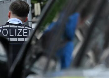 Mannheim’da AfD’li siyasetçiye bıçaklı saldırı