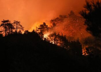 Çanakkale’deki orman yangınına müdahale sürüyor