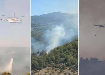 Çanakkale’deki orman yangını 24 saat sonra kontrol altında; Uşak, İzmir ve Manisa’daki orman yangınları sürüyor