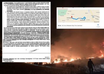Aynı bölgede 2023’te de yangın çıkmış: DEDAŞ kusurlu bulundu, köylüye tazminat ödendi