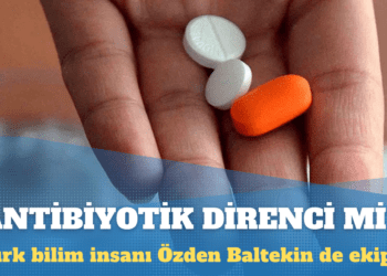 Antibiyotik direncine karşı çığır açtılar: Türk bilim insanı Özden Baltekin de ekipte