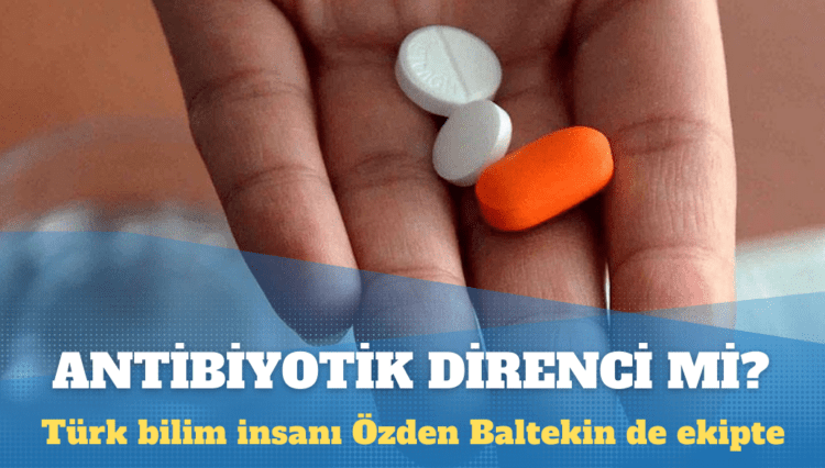 Antibiyotik direncine karşı çığır açtılar: Türk bilim insanı Özden Baltekin de ekipte