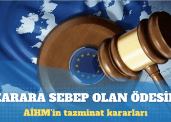AİHM’in tazminat kararları: Cezayı zarara sebep olanlar ödesin