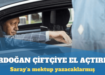 Ziraat Odası’ndan buğday fiyatı tepkisi: Erdoğan’a mektup gönderecekler