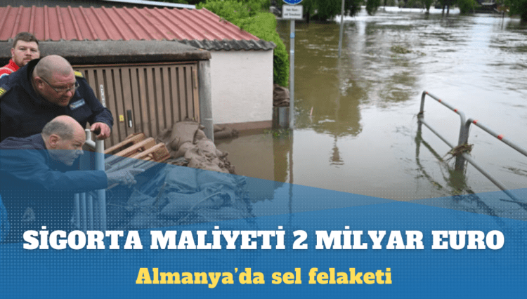 Almanya’da sellerin sigorta maliyeti 2 milyar euro