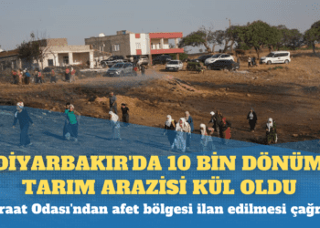 Diyarbakır’da 10 bin dönüm tarım arazisi kül oldu: Ziraat Odası’ndan afet bölgesi ilan edilmesi çağrısı