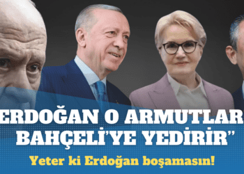 Erkam Tufan Aytav: Erdoğan, o armutları Bahçeli’ye yedirir