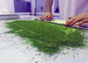 Baklavacılar ‘durup dururken artan’ fıstık fiyatına tepkili