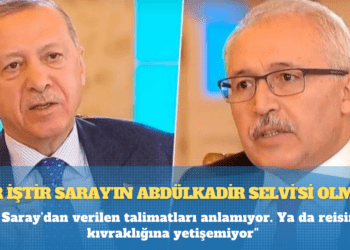 Erkam Tufan Aytav: Zor iştir Saray’ın Abdülkadir Selvi’si olmak