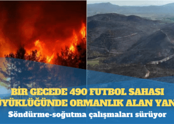 Bir gecede 490 futbol sahası büyüklüğünde ormanlık alan yandı