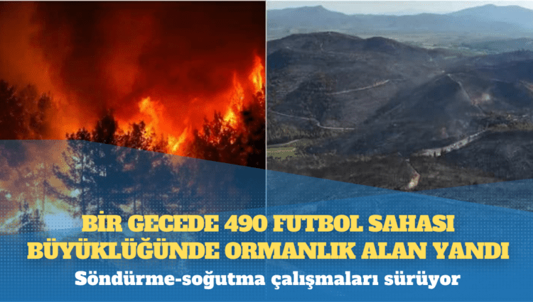Bir gecede 490 futbol sahası büyüklüğünde ormanlık alan yandı