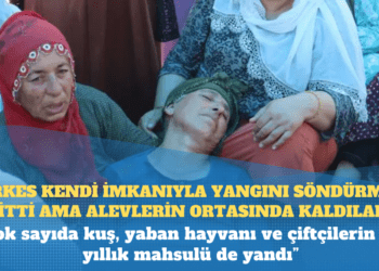 Diyarbakır ve Mardin’de yangın: ‘Herkes kendi imkanıyla yangını söndürmeye gitti ama alevlerin ortasında kaldılar’