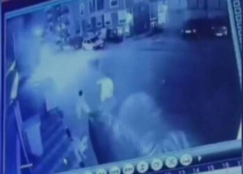 İzmir’de olduğu yerde duran köpeğe öldüresiye saldıran iki kişi serbest bırakıldı