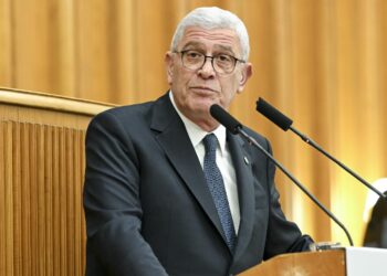 Dervişoğlu: Sokak hayvanlarının değil sokaktaki katillerin peşine düşün