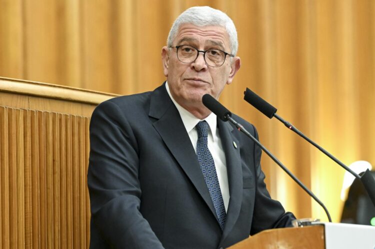 Dervişoğlu: Sokak hayvanlarının değil sokaktaki katillerin peşine düşün