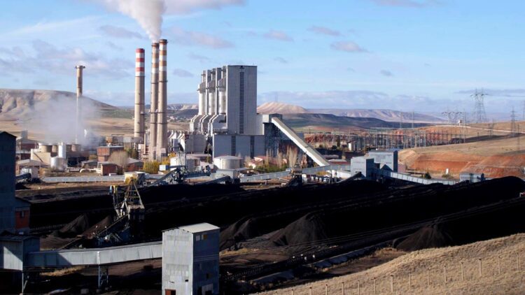 Sivas’ta termik santrale filtre takılmadı: Ağaçlardan meyve yerine kül topluyorlar