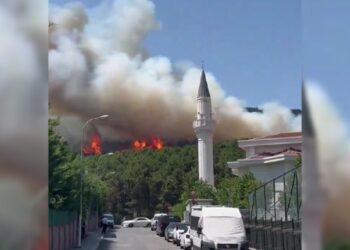Pendik Aydos Ormanı’nda çıkan yangın kontrole alındı