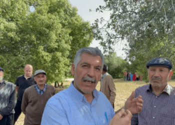 300 yıllık ağaçları kesip konut yapacaklar