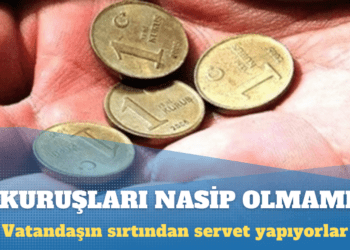 1 kuruşları nasip olmamış: Türkiye’de milyarlar kazanıp vergi ödemeyen şirketler