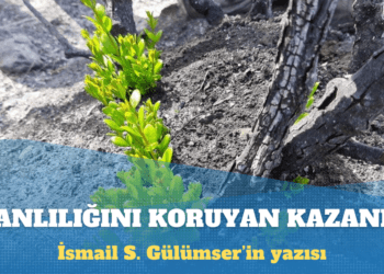 İsmail S. Gülümser: İtibar görmediğinde bile canlılığını koruyan kazanır