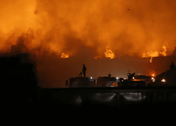 Aydın’da kağıt fabrikasında yangın