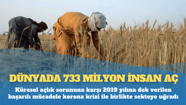 BM raporu: Dünyada 733 milyon insan aç