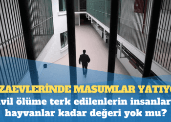 Sivil ölüme terk edilenlerin insanların hayvanlar kadar değeri yok mu?