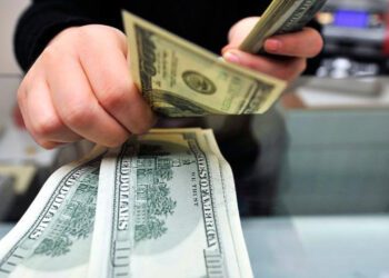 Bloomberg analizi: Türkiye’nin döviz politikası yabancıyı sevindirdi yerliyi üzdü