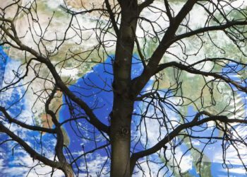 Dünyanın ekolojik kaynakları haftaya tükeniyor