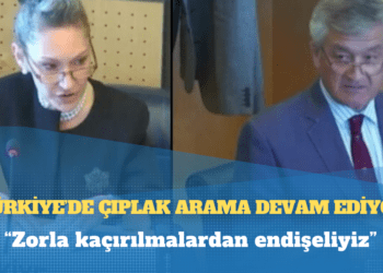 BM İşkenceyi Önleme raporu: Türkiye’de çıplak arama devam ediyor, zorla kaçırılmalardan endişeliyiz