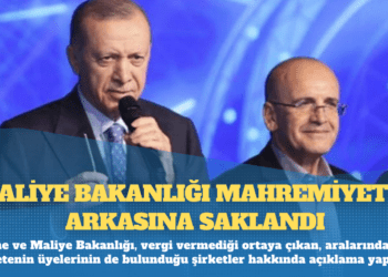 Devlete vergi vermeyen dev firmalar: Maliye bakanlığı mahremiyetin arkasına saklandı