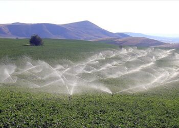 Lisenin uygulamalı tarım arazisine asfalt tesisi yapılacak