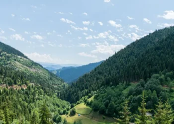 Artvin Arhavi’deki maden projesine bölge halkından tepki: ‘Suyumuzu ve toprağımızı kirletecek, burada yaşam biter’