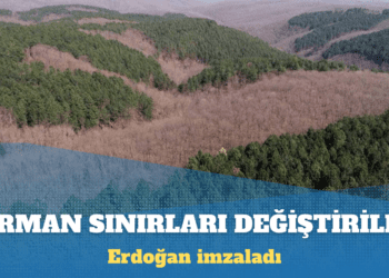 Erdoğan’ın imzasıyla dokuz ilde bazı alanlar orman sınırlarından çıkarıldı