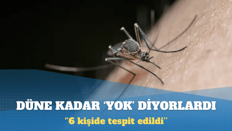 Sağlık Bakanlığı: 2024’te altı kişide Batı Nil virüsü tespit edildi