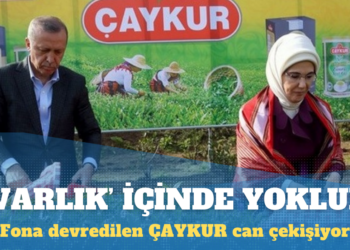 Varlık Fonu’na devredilen ÇAYKUR eridi