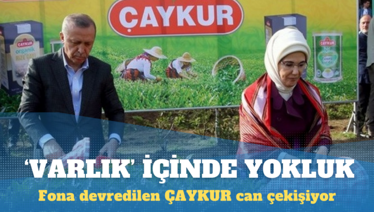 Varlık Fonu’na devredilen ÇAYKUR eridi