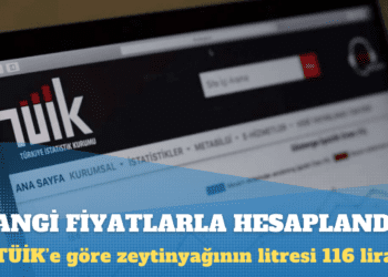 Temmuz enflasyonu hangi fiyatlarla hesaplandı?