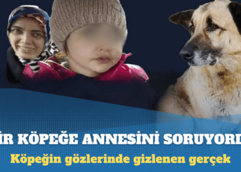 Köpeğin gözlerinde gizlenen gerçek