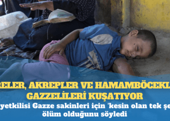 Fareler, akrepler ve hamamböcekleri Gazzelileri kuşatıyor