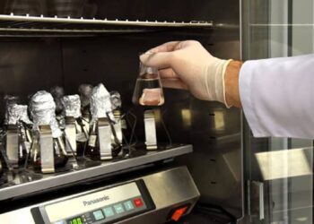 Koyun kalp kapakçığı insanlarda kullanılacak