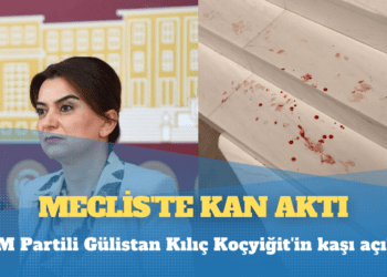 Meclis’te kan aktı: DEM Partili Gülistan Kılıç Koçyiğit’in kaşı açıldı!