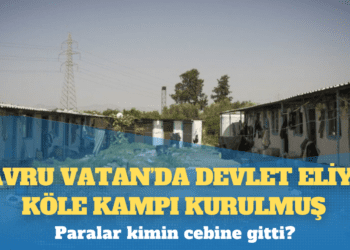 ‘Yavru Vatan’da devlet eliyle köle kampı kurulmuş: Paralar kimin cebine gitti?