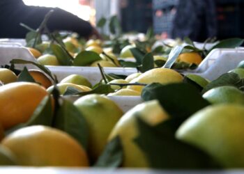 İTO verileri: İstanbul’da fiyatı en çok artan ürün belli oldu