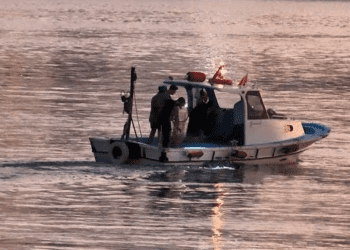 1 ton kaçak midyeye el konuldu