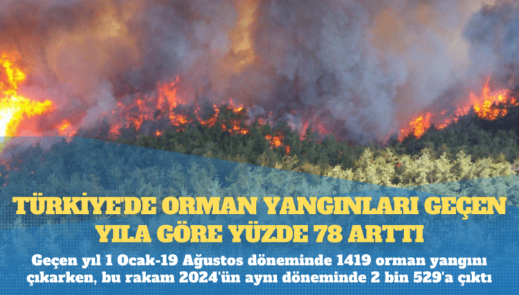 Türkiye’de orman yangınları geçen yıla göre yüzde 78 arttı