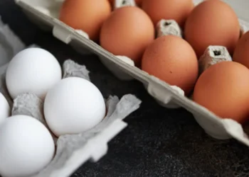 Yumurta fiyatlarına zam geldi