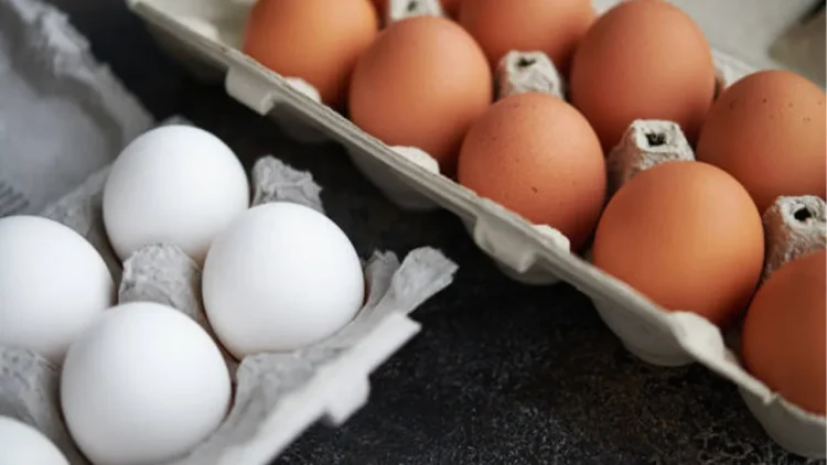 Yumurta fiyatlarına zam geldi