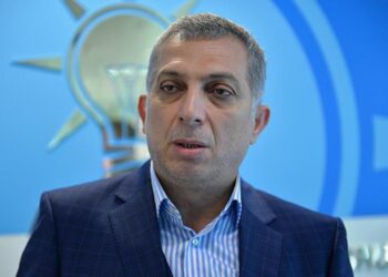 Külünk: Hayvanları öldürme lobisi AK Parti’yi kullandı