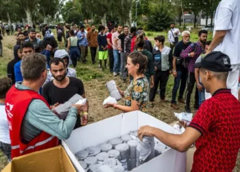 Hollanda’da şu ana kadarki en katı sığınma ve göç planı açıklandı
